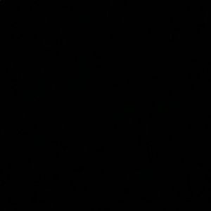 Meet your Posher, Dorian